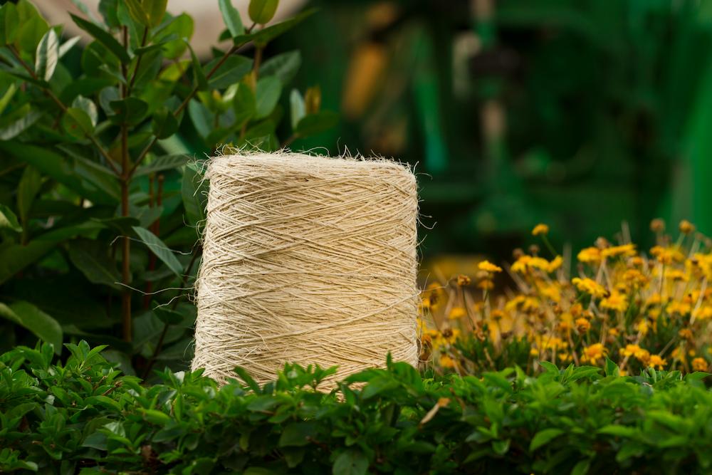 Fique Thread Number 1 (Cone presentation) 