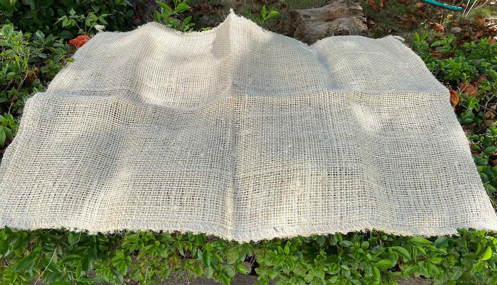 Cocoa Sack (Package of 100 units)