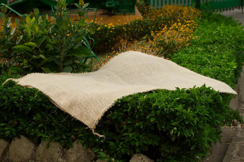 Rice Sack White (Package of 100 units)  