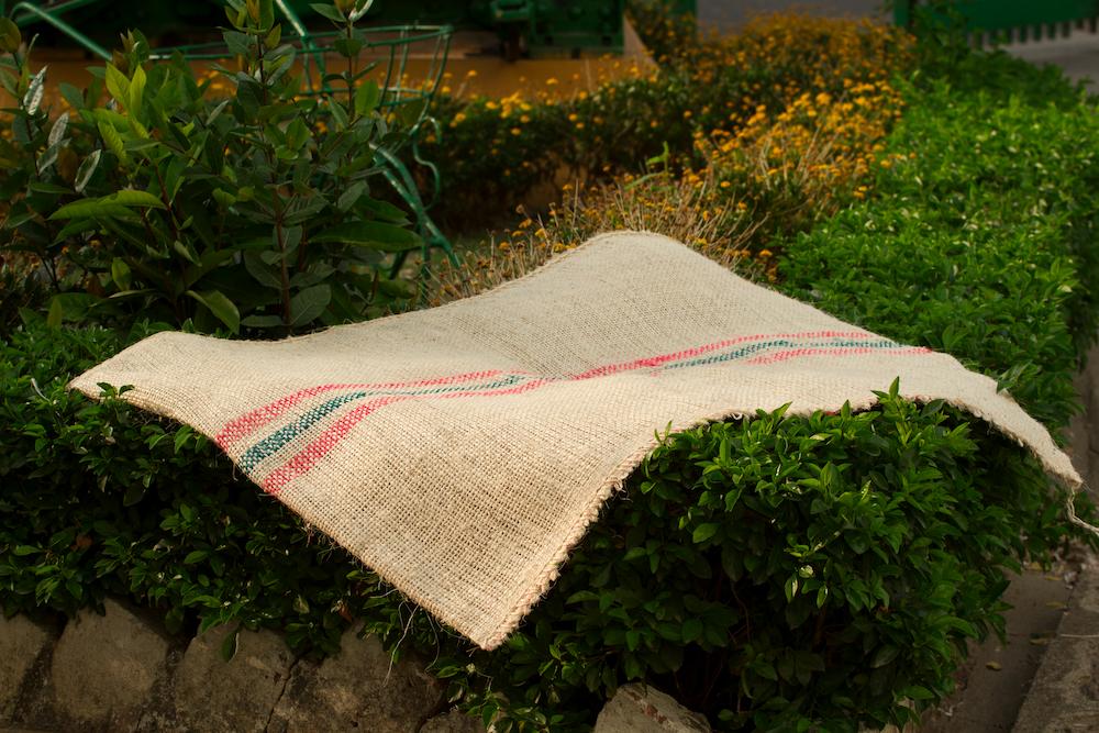 Coffee Sack Number 5 (Package of 100 units) 