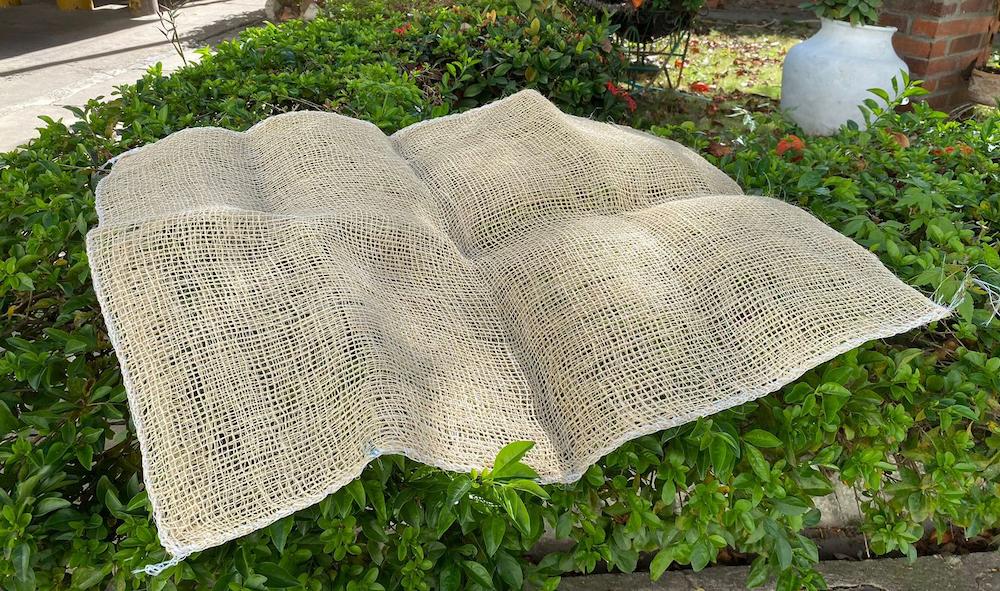 Carrot  (Package Of 100 Units)