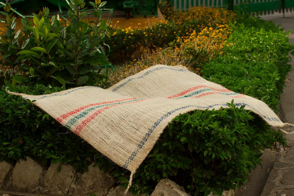 Coffee Sack number 6 blue stripe (Package per 100 units)